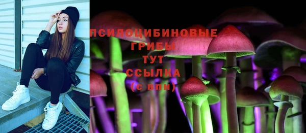 стаф Алексин