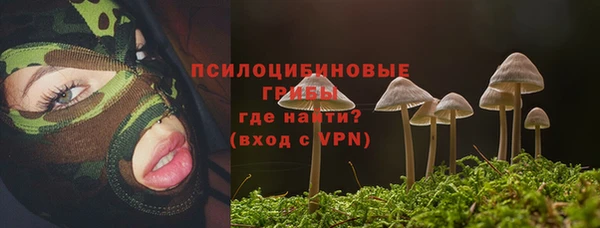 мяу мяу мука Алзамай