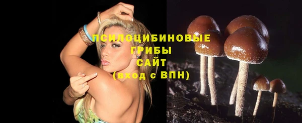 мяу мяу мука Алзамай