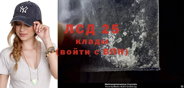 стаф Алексин